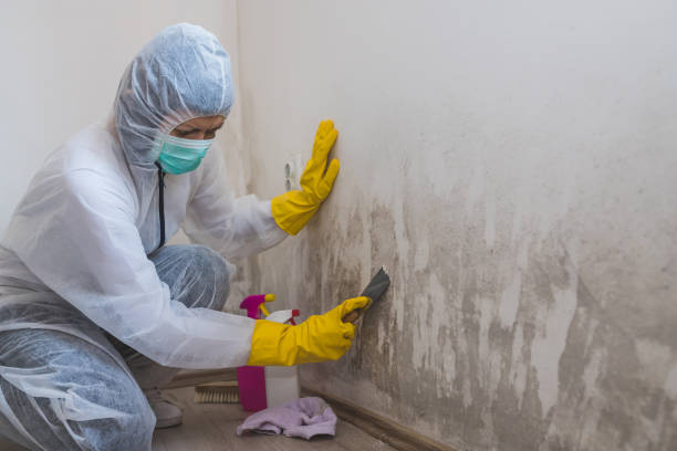 Asbestos and Lead Testing During Mold Inspection in Sedona, AZ